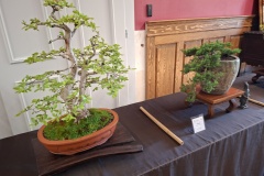 090526_Agrofest_8