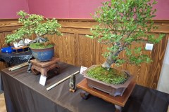 090526_Agrofest_9