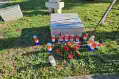 viber_slika_2025-08-05_08-05-01-848