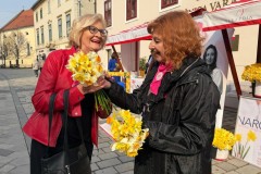 dan_narcisa_vz_zupanija_2026-19