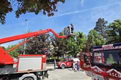 IMG-165c4e3c0cc393272e405b5b26ada44e-V