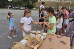 IMG-20260901-WA0016