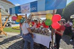 IMG-47f42f5bff444f90d0106dbdc514d815-V