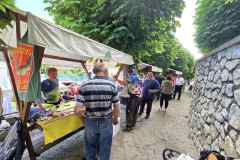 IMG-95bfe152a46df3488da5cb15da38d735-V