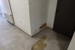 606905150_3386751674809978_5816790819946410211_n