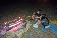 IMG-20240827-WA0009-1