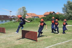 DVD-Durmanec11