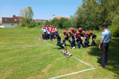 DVD-Durmanec12