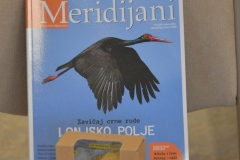 FOTO-10