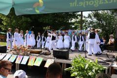 Festivalcic15-web