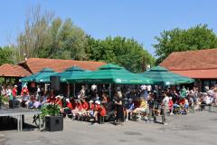 Festivalcic20-web