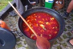 Opcina-Zagorskih-Sela-fis-na-zagorski-18