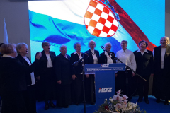 IMG-25dc9cbc77d3c96e6cd2f2ef598c0c6c-V