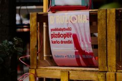 Druziona_small-036