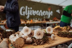 617067475_1285288376961791_2115019689133246583_n