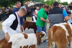 izlozba-stoke-i-bambino-kup24