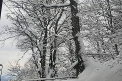 611643452_1187109216960335_1626113428520187909_n