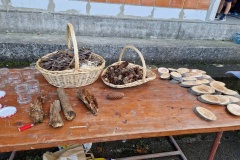 kestenijada-DND-Durmanec.jpg-21