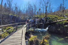 IMG-20250411-WA0018