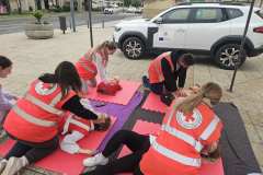 23