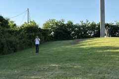 31