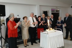 konjscina-zlatni-i-dijamantni-pir.jpg-12