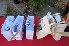 IMG-2c3c4fbaac45bf40618bed5355c73e24-V