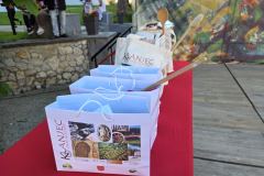 IMG-98e5e89c338d4bac91a62682fbe78c4d-V