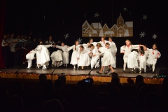 Bozicni-koncert-KUD-a-Laz-14