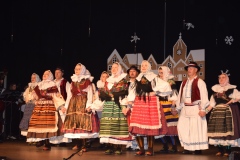 Bozicni-koncert-KUD-a-Laz-18