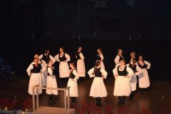 Koncert-KUD-Lovro-Jezek-19-1024x683