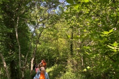 ForestFest-2026-10