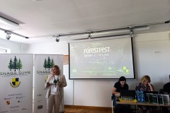 ForestFest-2026-36