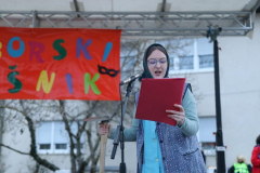 Loborski-fasinjek-100