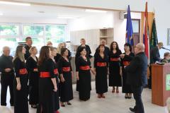 KZZ_7641-Copy