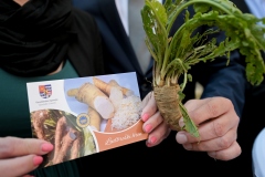 ludbreski_hren_postanska_marka-1