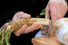 ludbreski_hren_postanska_marka-10