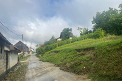 mace-stete-od-padalina-2