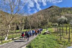 667914086_973053638738082_3949660642479715376_n