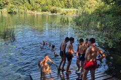 Mreznica12