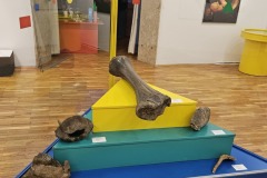 muzej-krapinskog-neandertalca7