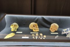 muzej-neandertalaca-izlozba11