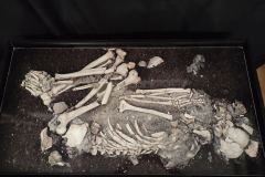 muzej-neandertalaca-izlozba7