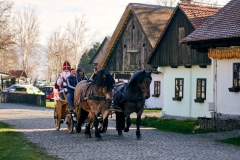 Na-konju-u-muzeje-3