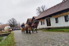 viber_slika_2025-12-06_12-06-47-564