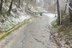 655750576_1576822881117234_2923415544399850957_n