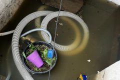 655818375_1576822807783908_3802038795504286942_n