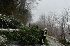 658080680_1576822877783901_3521664090980137510_n