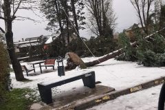 658768288_1576822771117245_6956107304101235734_n