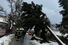 659641171_1576822711117251_2479354738173614535_n